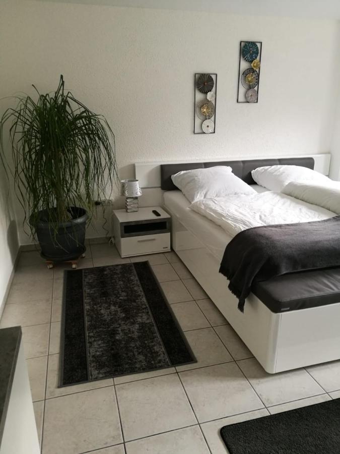 Ferienapartment "Vier Pfoten" In Korbach Exterior foto